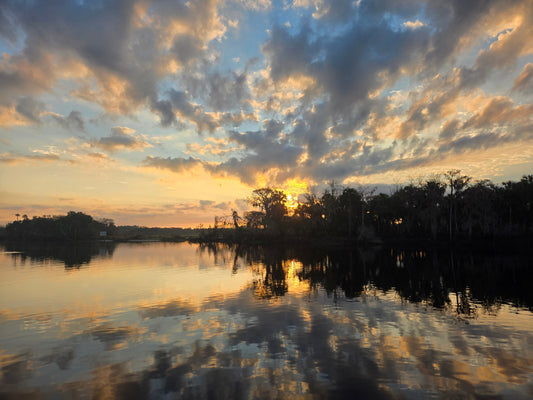Guardians of the Flow: Why Protecting Our Waterways Matters