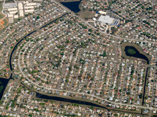 When Too Much Grows Too Fast: The Consequences of Overdevelopment