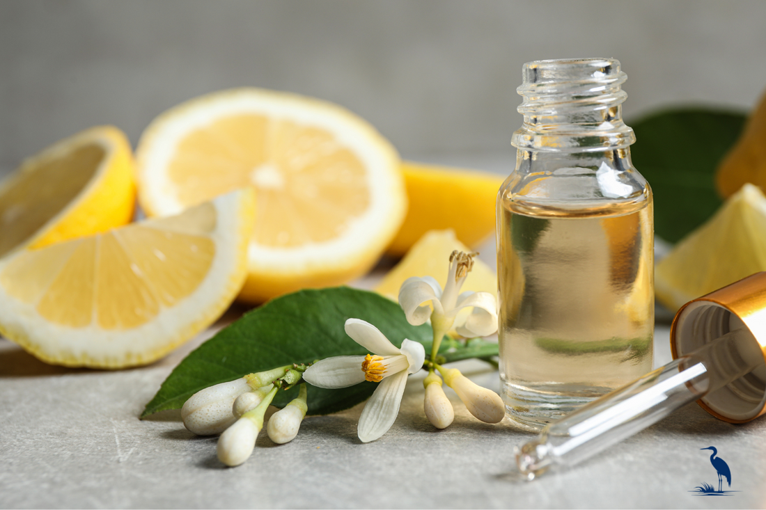 Wax Poetic: The Meaning Behind Your Favorite Candle Scents