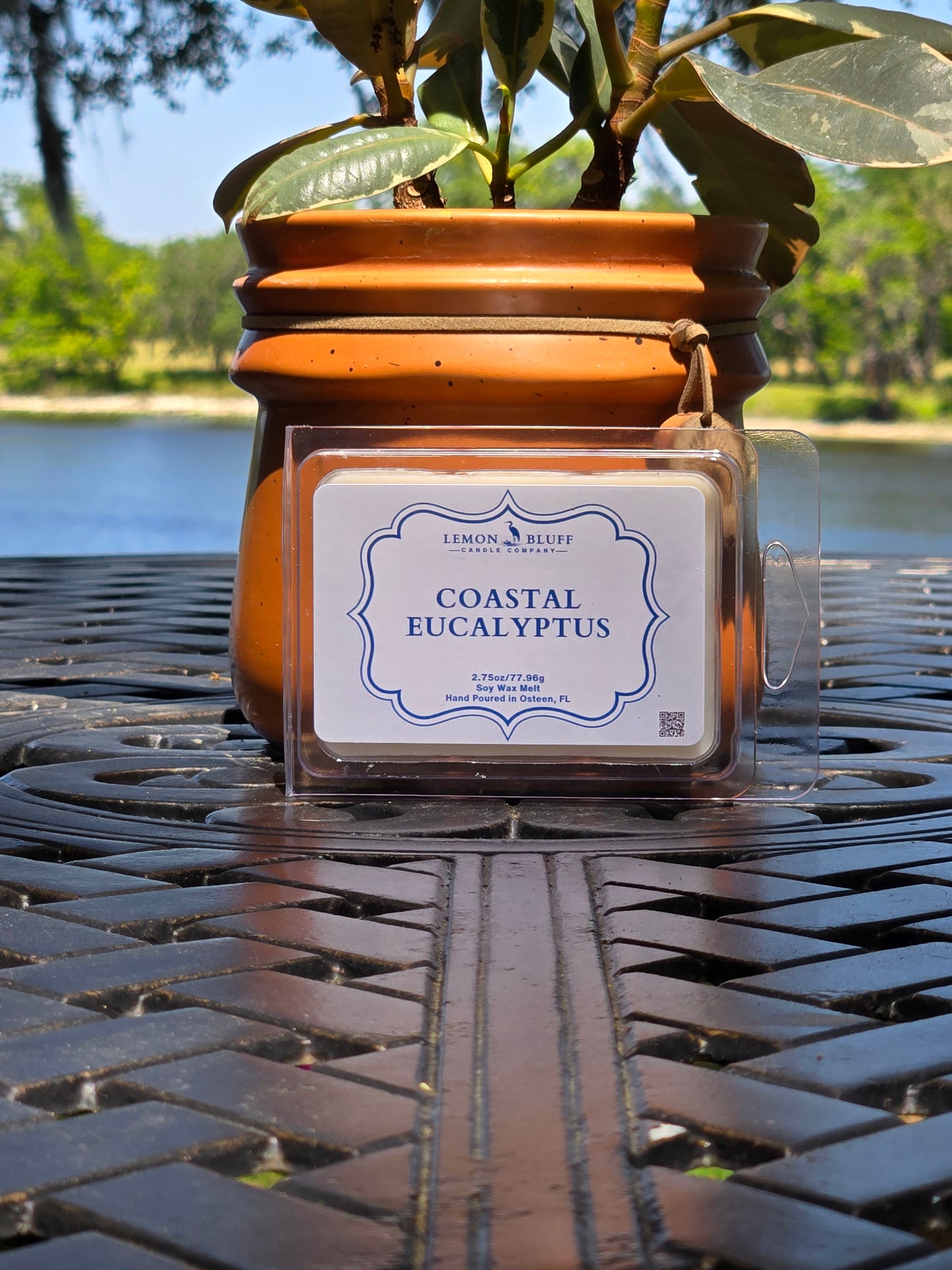 Coastal Eucalyptus Wax Melt