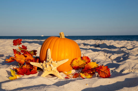 From Sunshine to Spice: Transitioning from Summer to Fall in Florida
