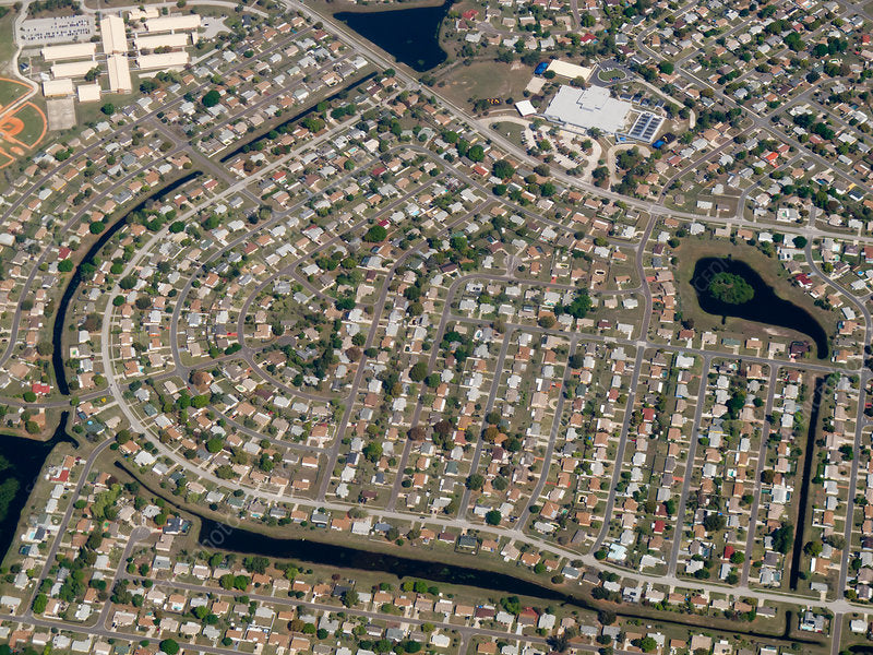 When Too Much Grows Too Fast: The Consequences of Overdevelopment