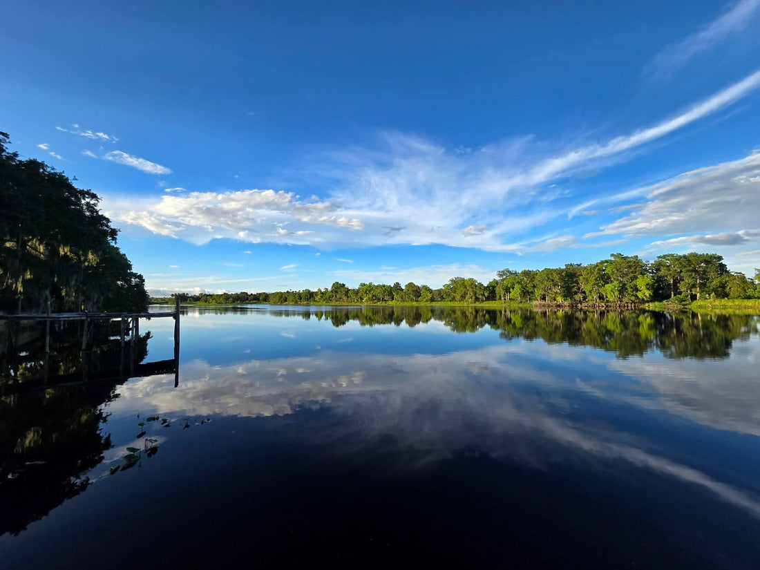 Late Summer on the St. Johns
