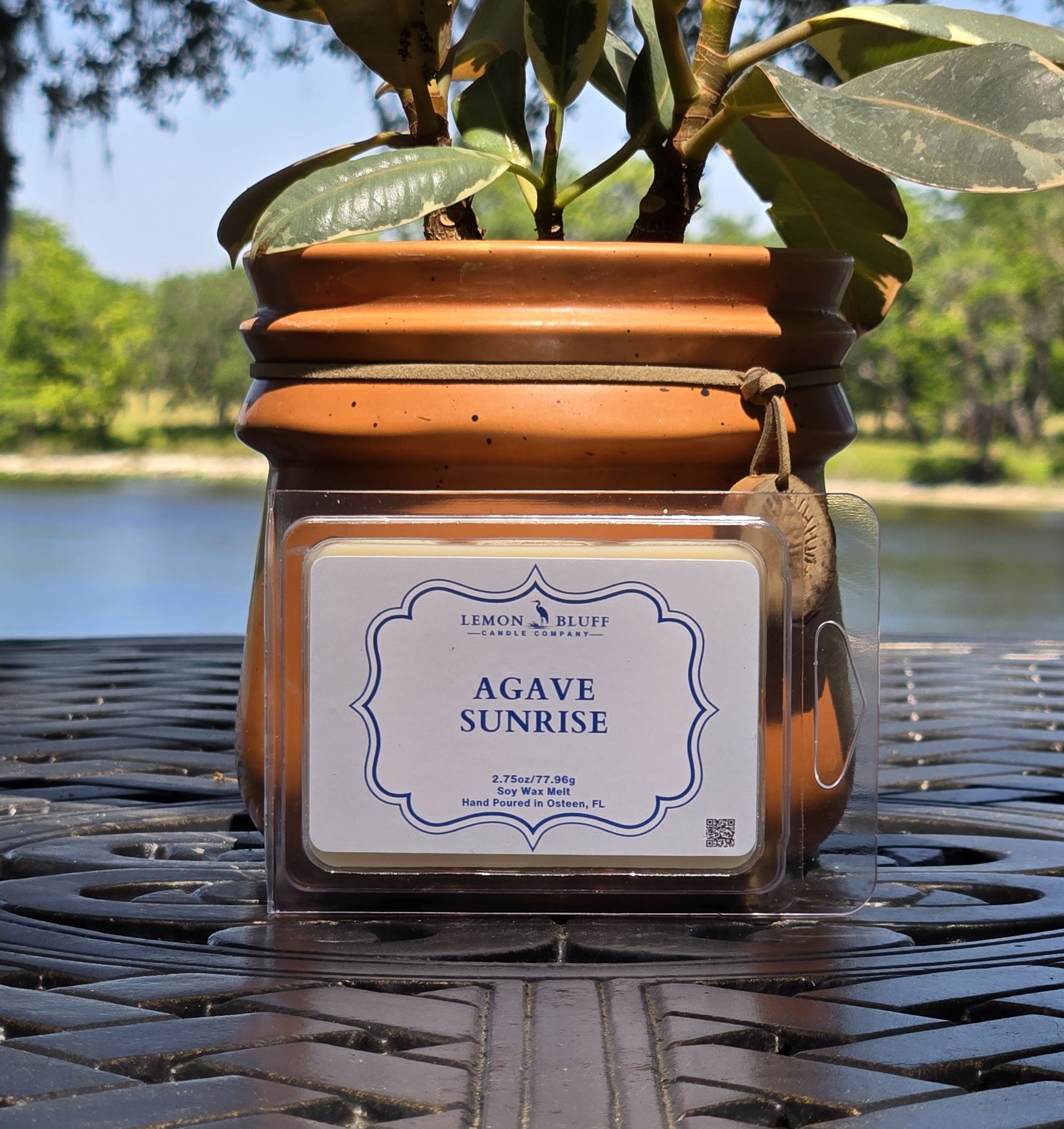 Agave Sunrise Wax Melt- Agave, Lemon, Citrus Orange Peel Scent